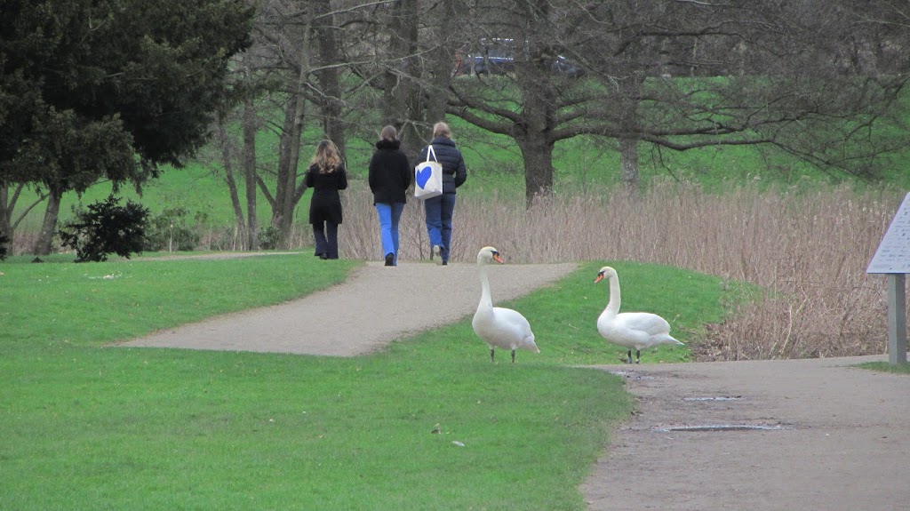 herlufsholm-park-17.jpeg