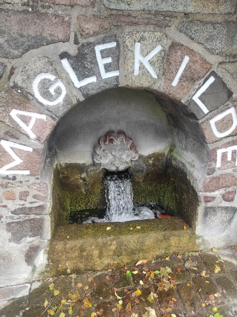 maglekilde-13.jpeg