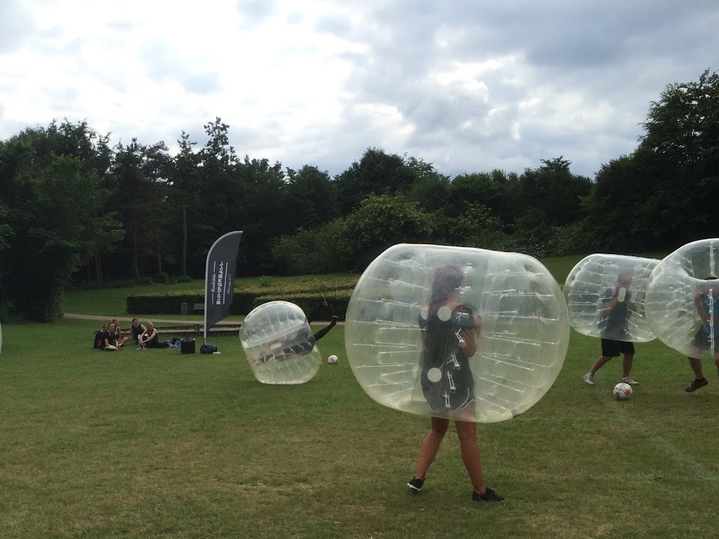 roskilde-bumper-ball-3.jpeg