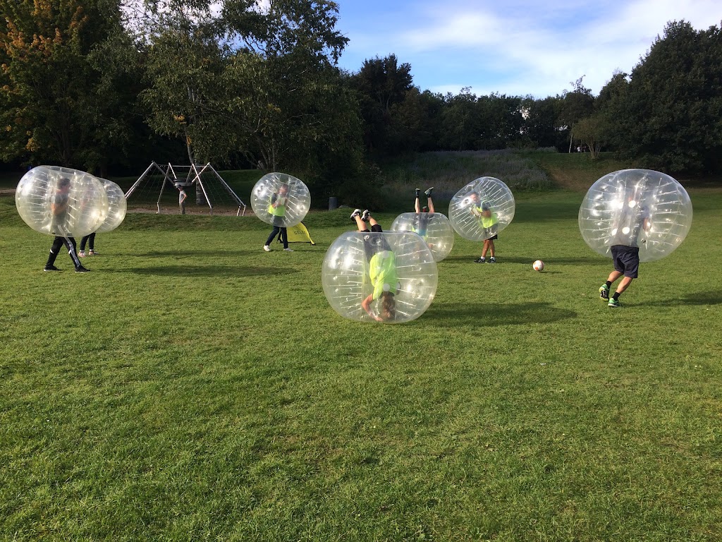 roskilde-bumper-ball-6.jpeg