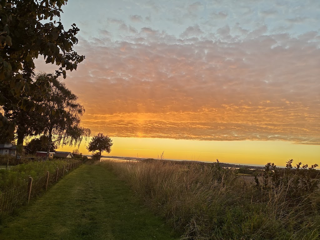 grundejerforeningen-vellerup-sommerby-4.jpeg