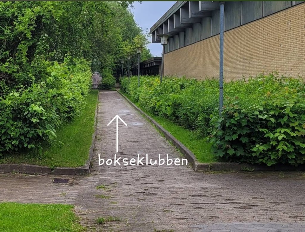 bokseklubben-ik-sport-8.jpeg