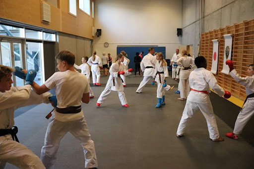 Gribskov Karate