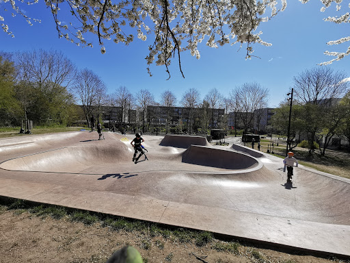 Remiseparken skatepark