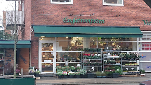 Engletrompeten