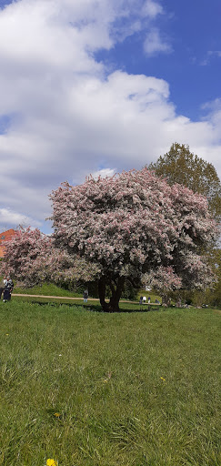 Grøndalsparken