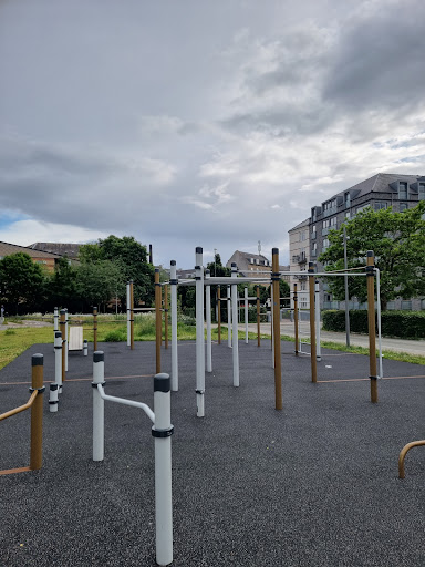 Calisthenics park