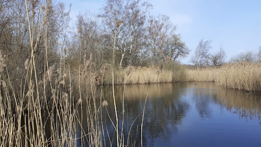 Lille sø i Smørmosen