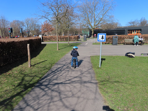 The Traffic Playground