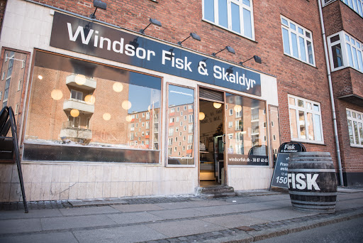 Windsor Fisk