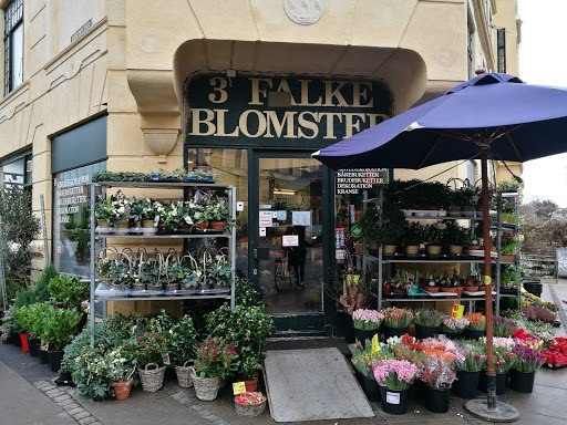 3 Falke Blomster