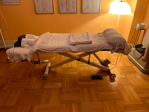 Acupuncture and Choo Ma Institute