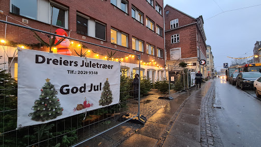 Dreiers Juletræer