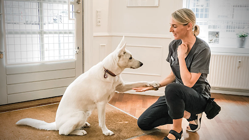 Hundeklinikken - tidligere Ryesgade Dyreklinik