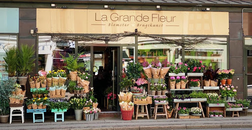 La Grande Fleur