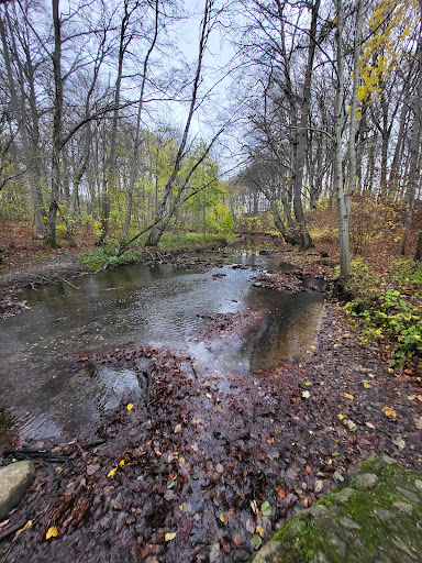 Skovhus Vænge