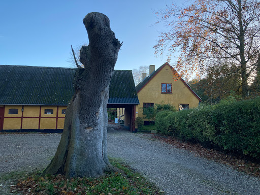 "Stedet" skole og dagbehandling