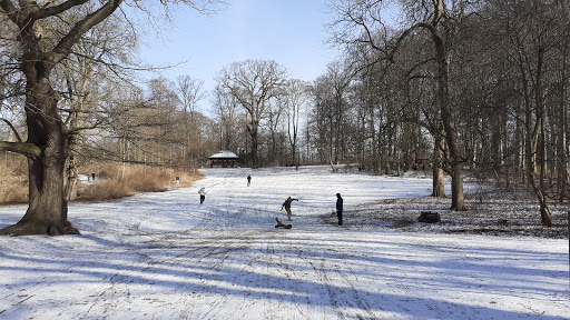 Kælkebakke ved Valby