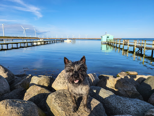 Lille Helgoland