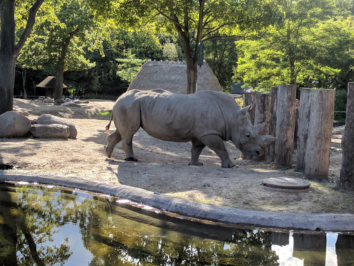 Zoologisk Have (Roskildevej)